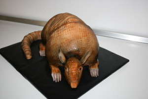 fondant 3d armadillo cake